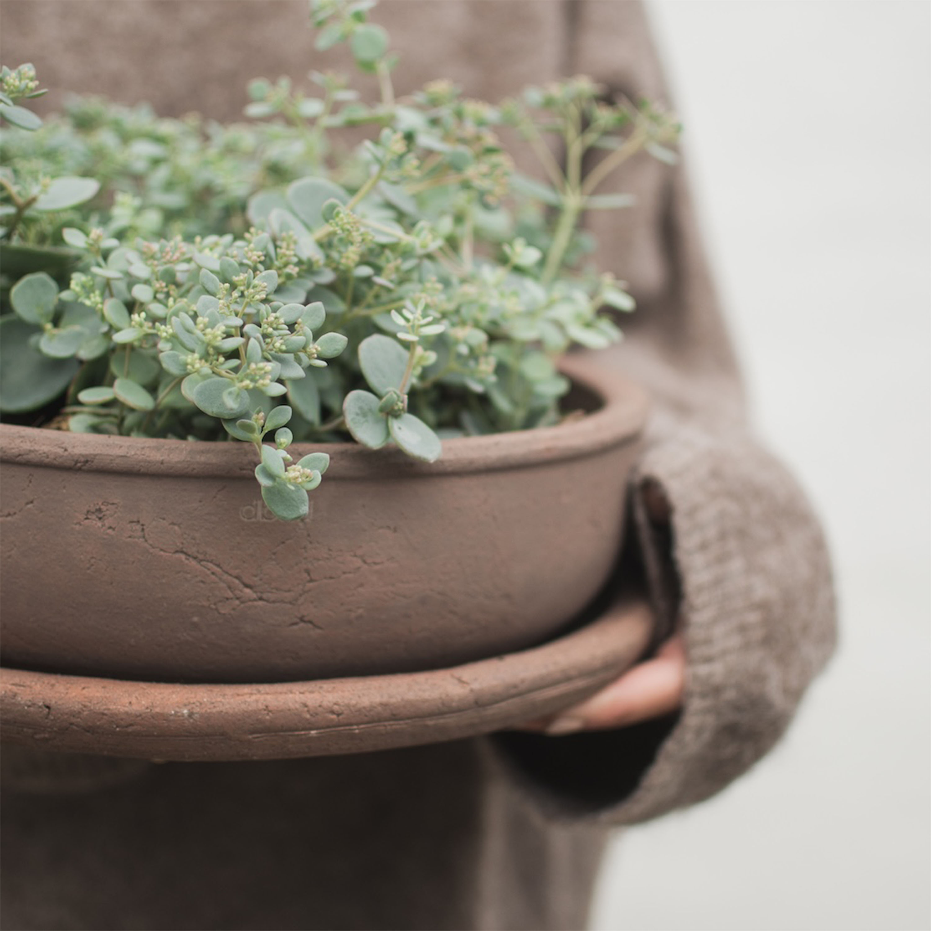 DBKD Terra Skål Brown Ø30