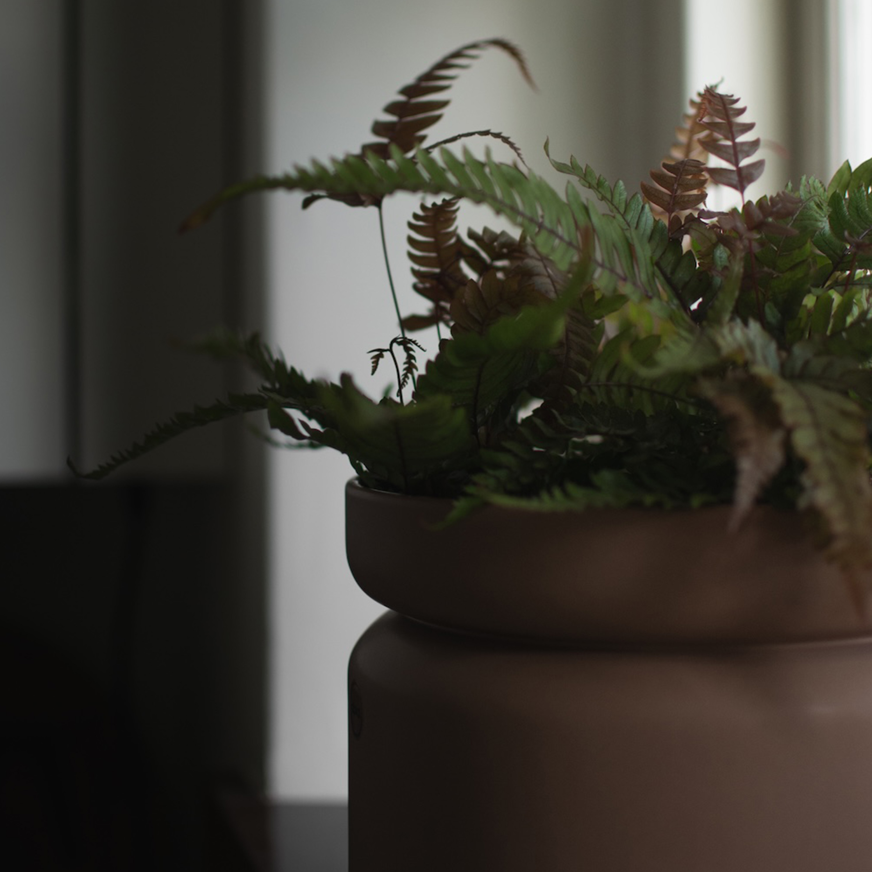 DBKD Neck Krukke Nougat Ø22