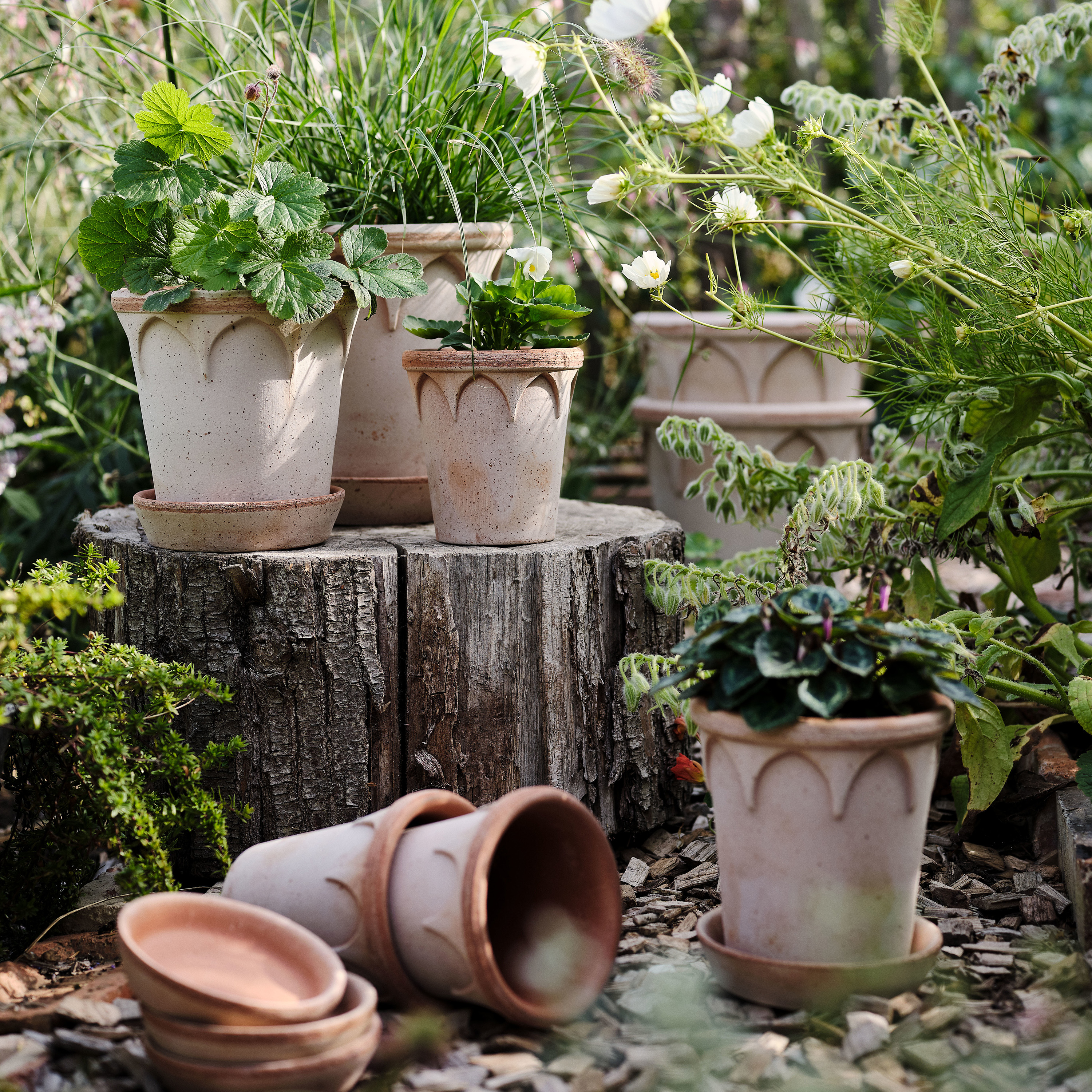 Bergs Potter Elizabeth Topf mit Untersetzer Raw Rosa Terrakotta Ø25