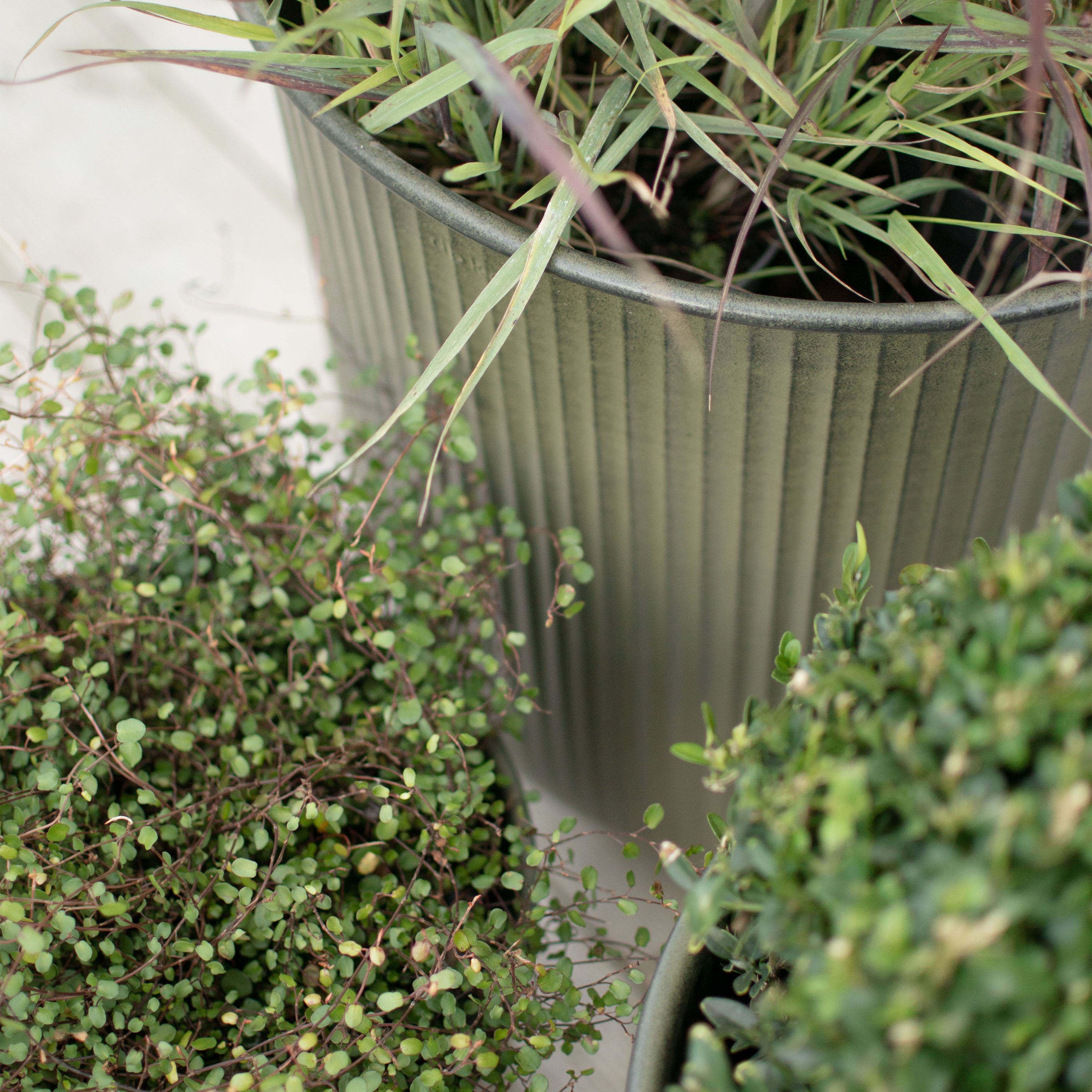 DBKD Out Stripe Keramiktopf Grün 3er-Pack