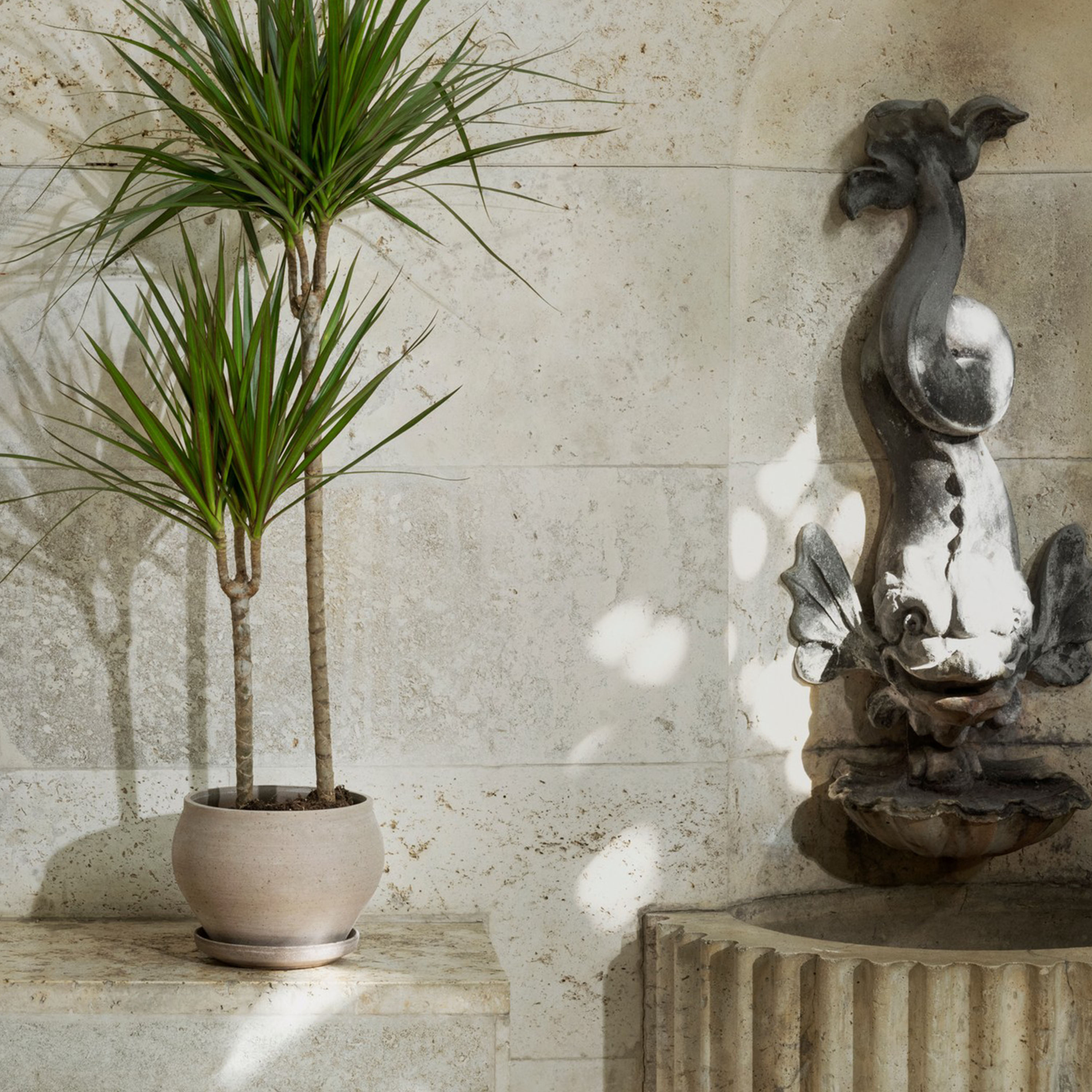 Bergs Potter Delphi Ruukku aluslautasella Raw Grey Low Ø24