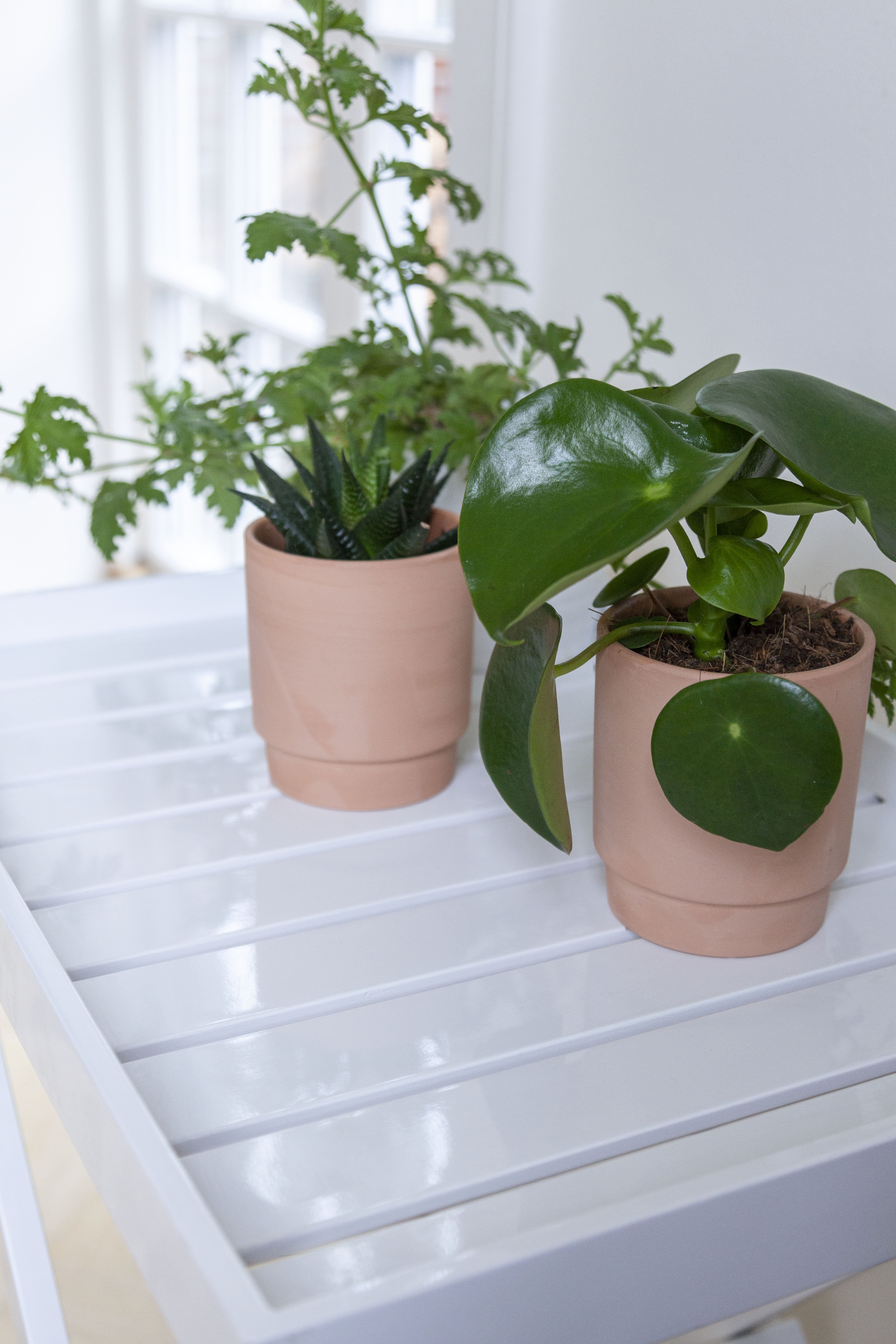 Cinas Tracy Tray balkongbord White