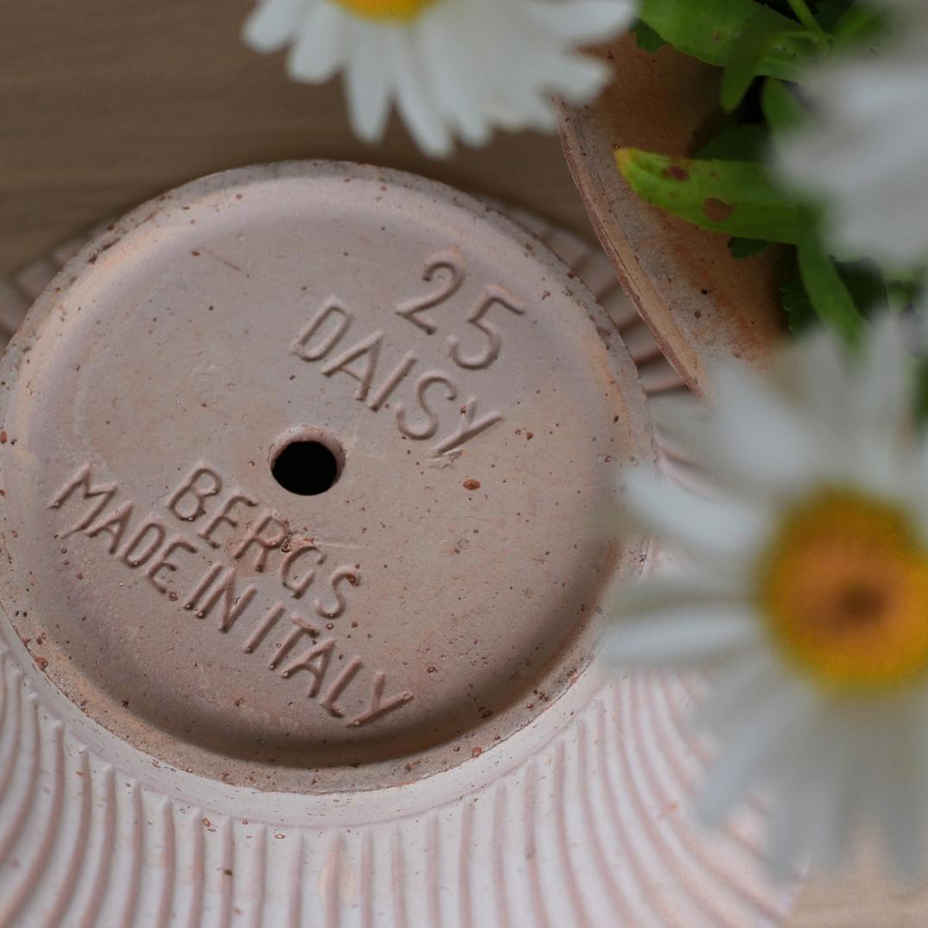 Bergs Potter Daisy Bol med fat Raw Rosa Terrakotta Ø25