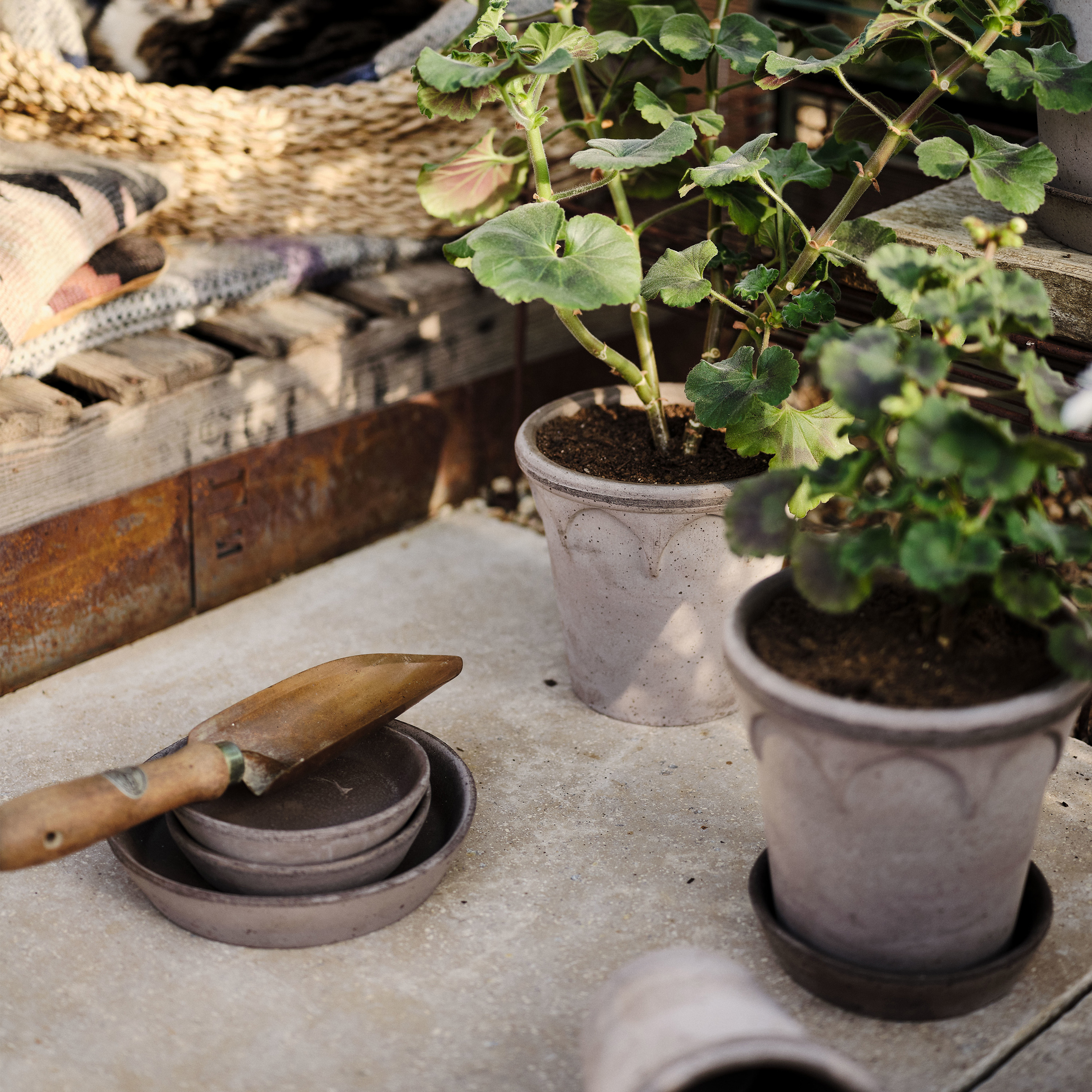 Bergs Potter Elizabeth Topf mit Untersetzer Raw Grey Terrakotta Ø21