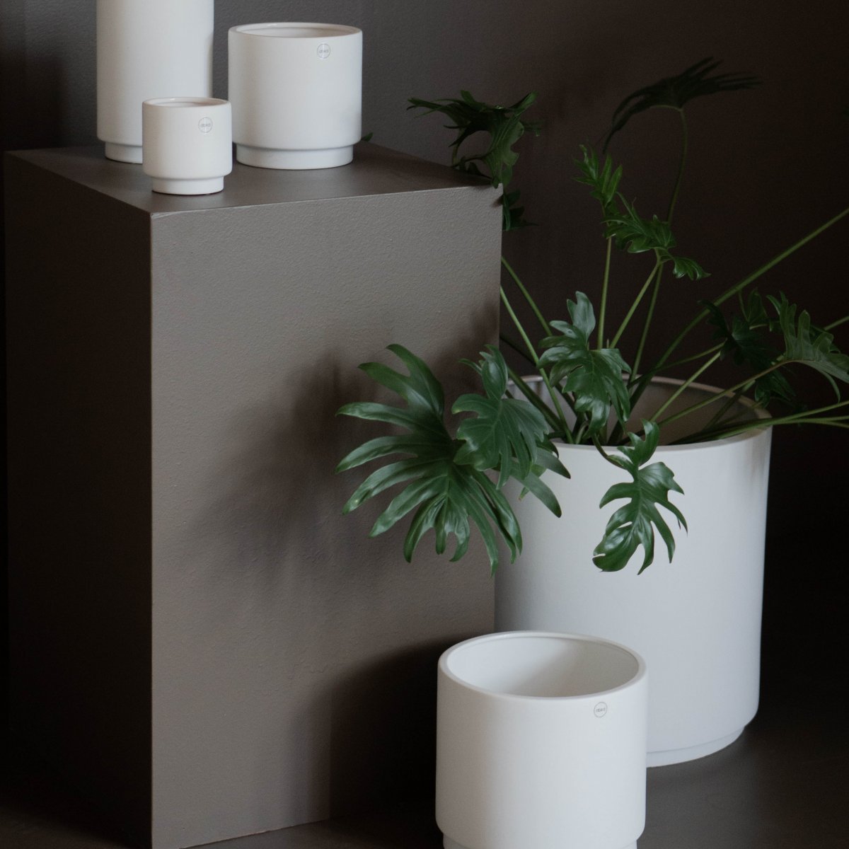 DBKD Solid Krukke Hvit XL