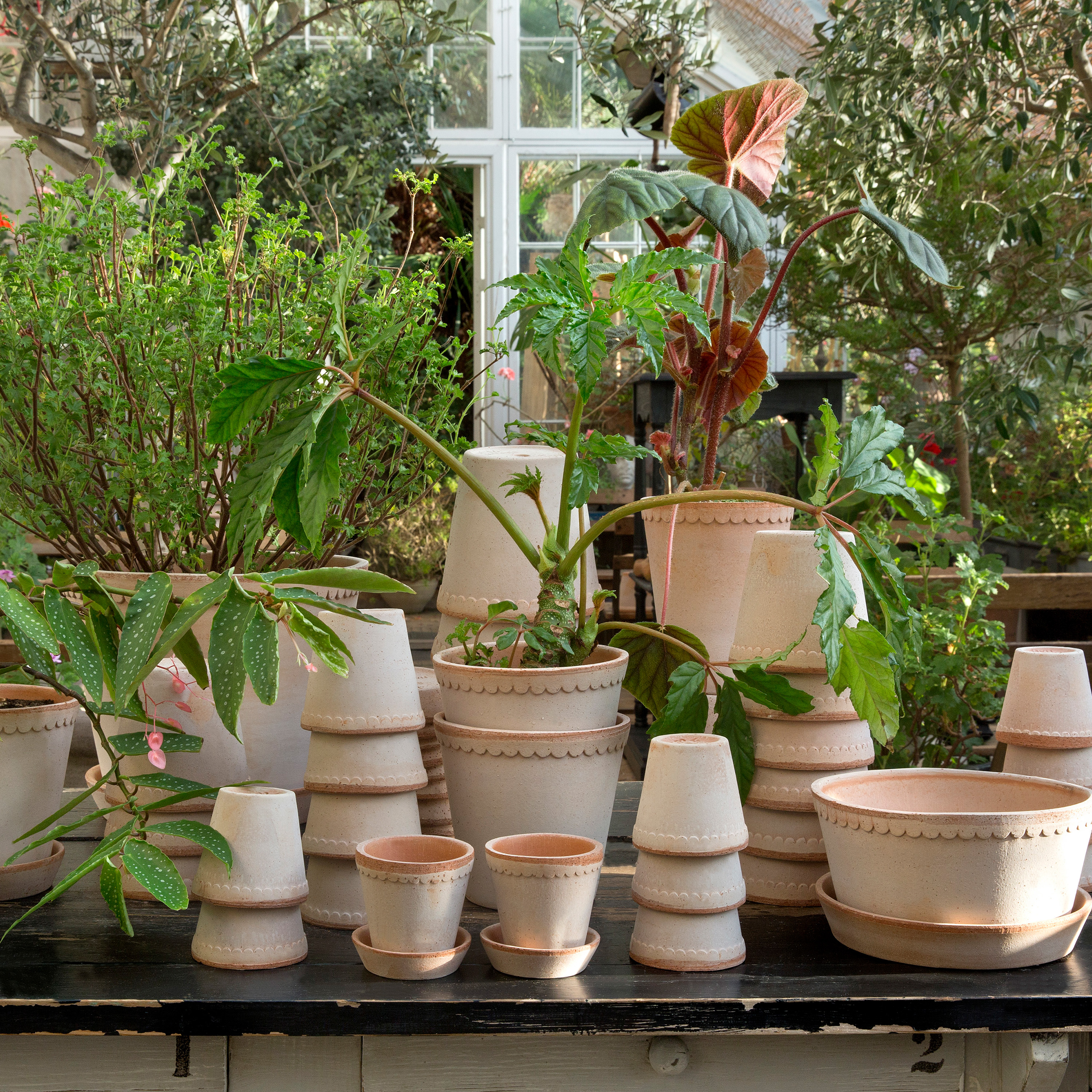 Bergs Potter Helena Topf mit Untersetzer Raw Rosa Terrakotta Ø30