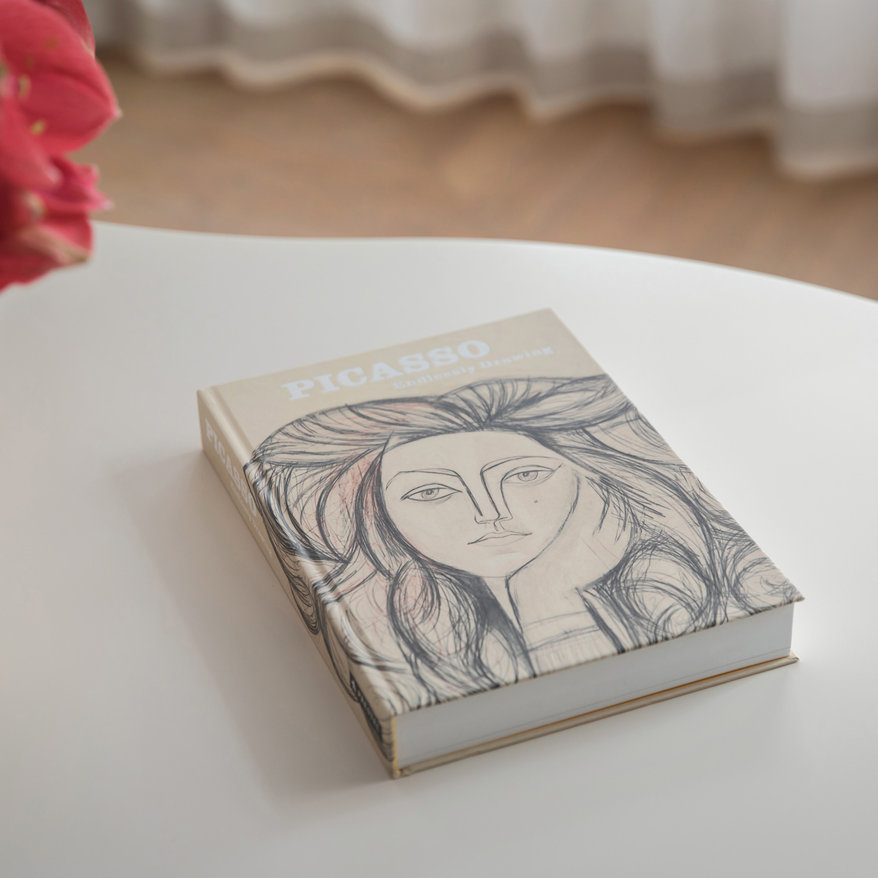 New Mags Picasso - Endlessly Drawing Bok