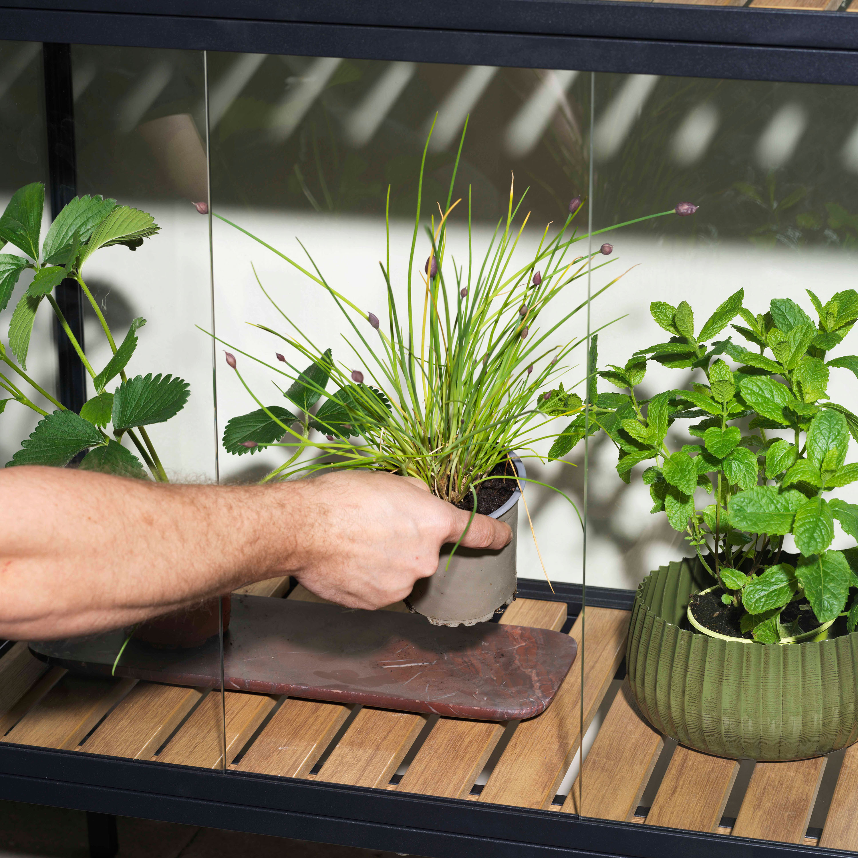 Brafab Grower Växthus Black Small