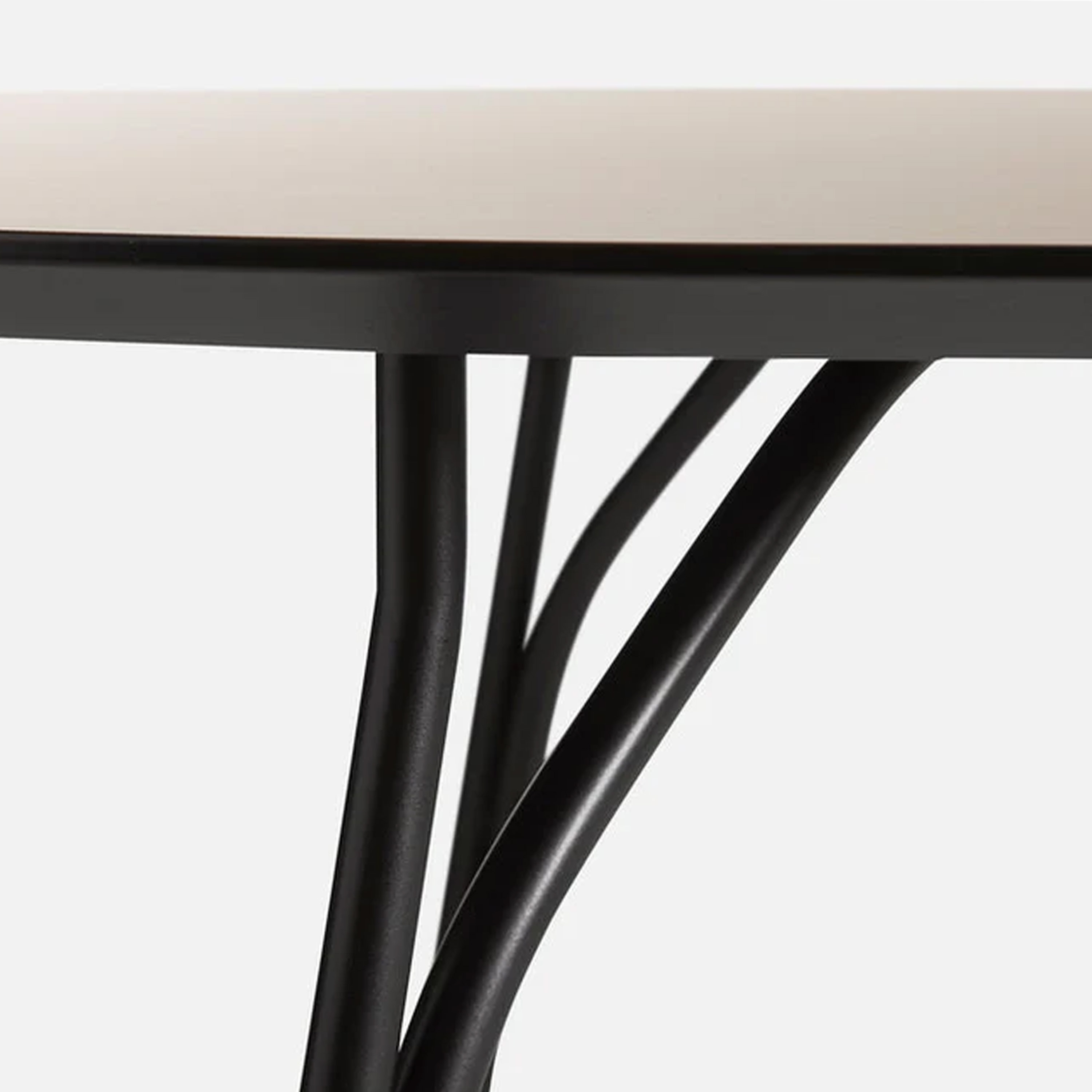 Woud Tree Spisebord Beige/Svart 220cm