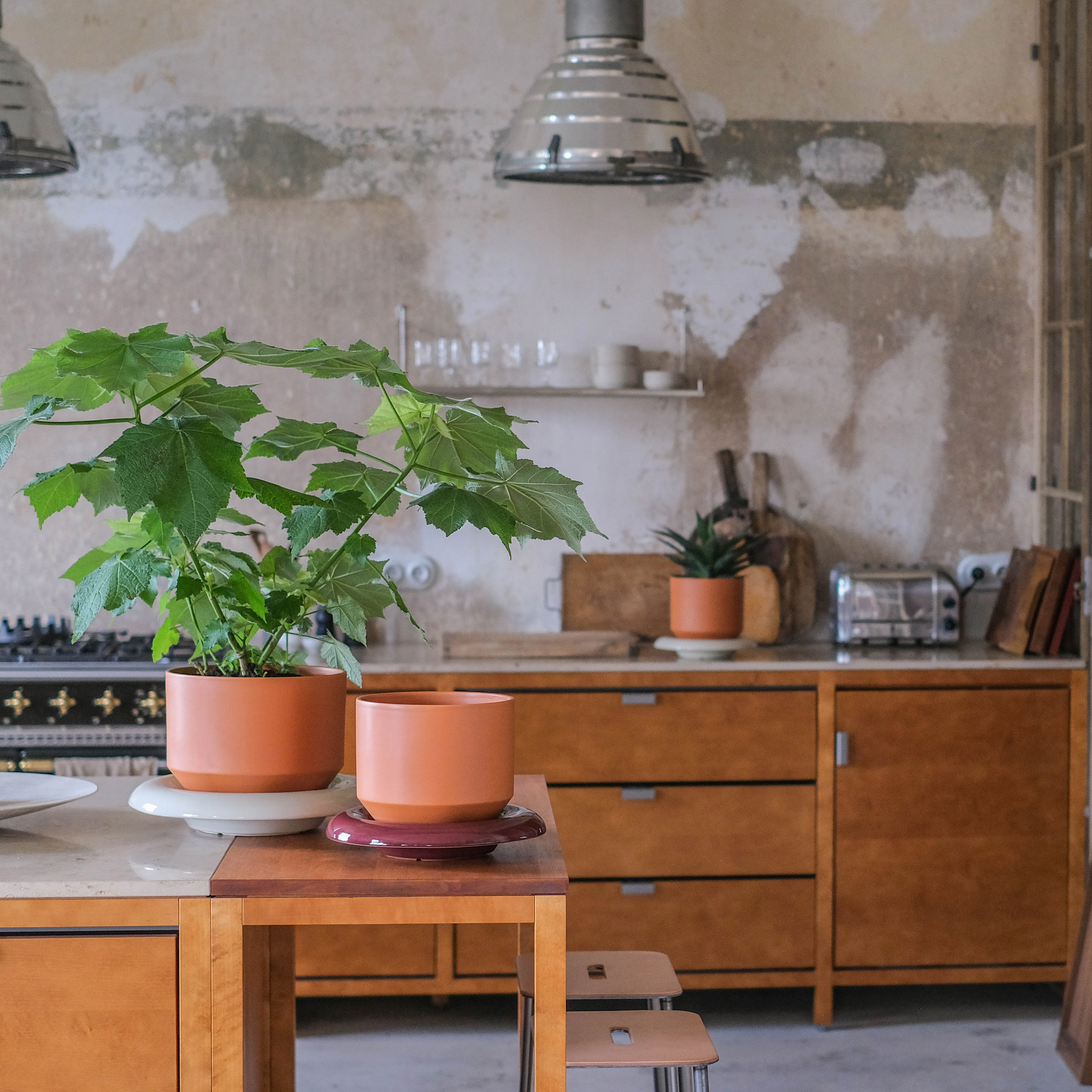 Bergs Potter Lily Untersetzer glasiert Deep Burgundy Ø25