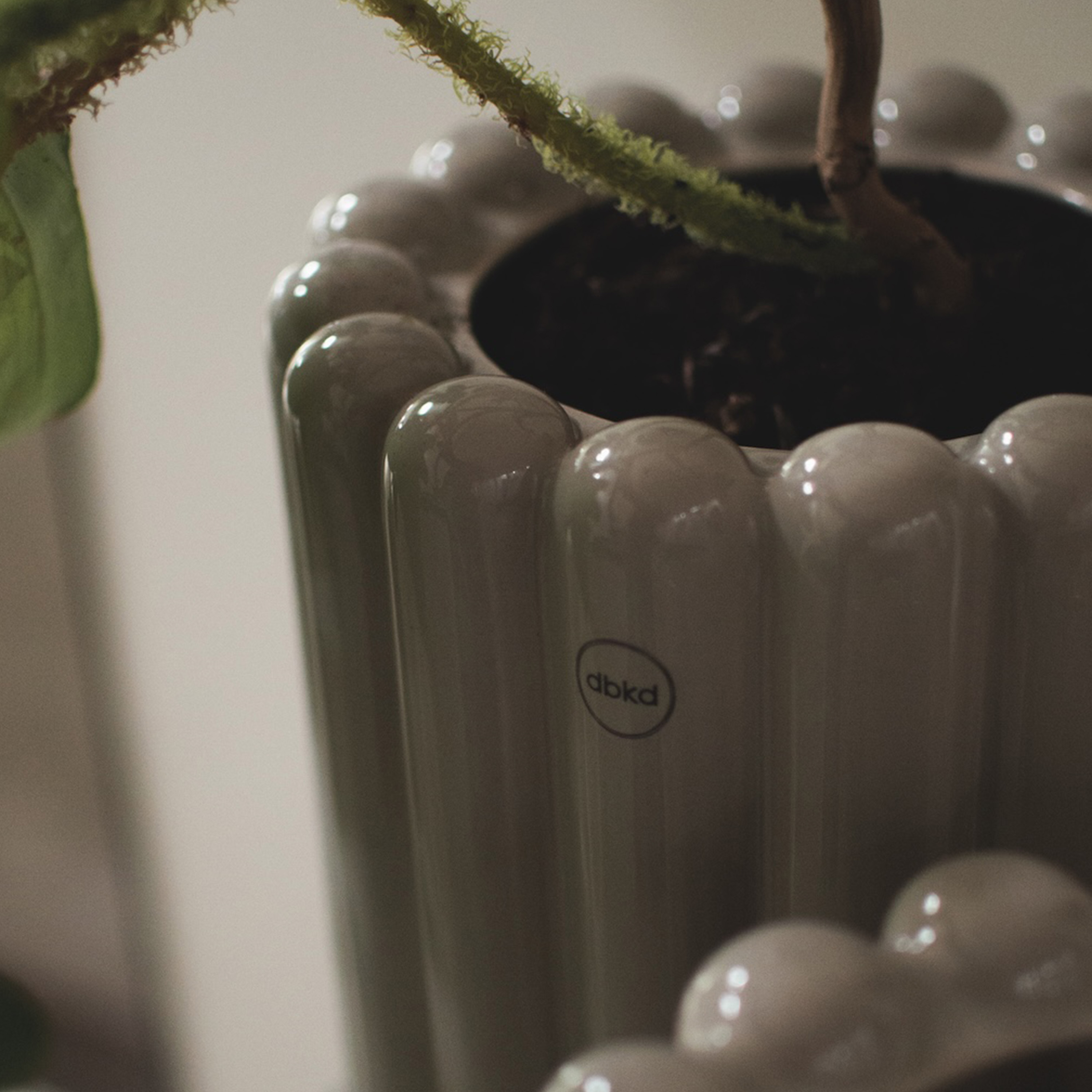 DBKD Mist Ruukku Shiny Mole Medium