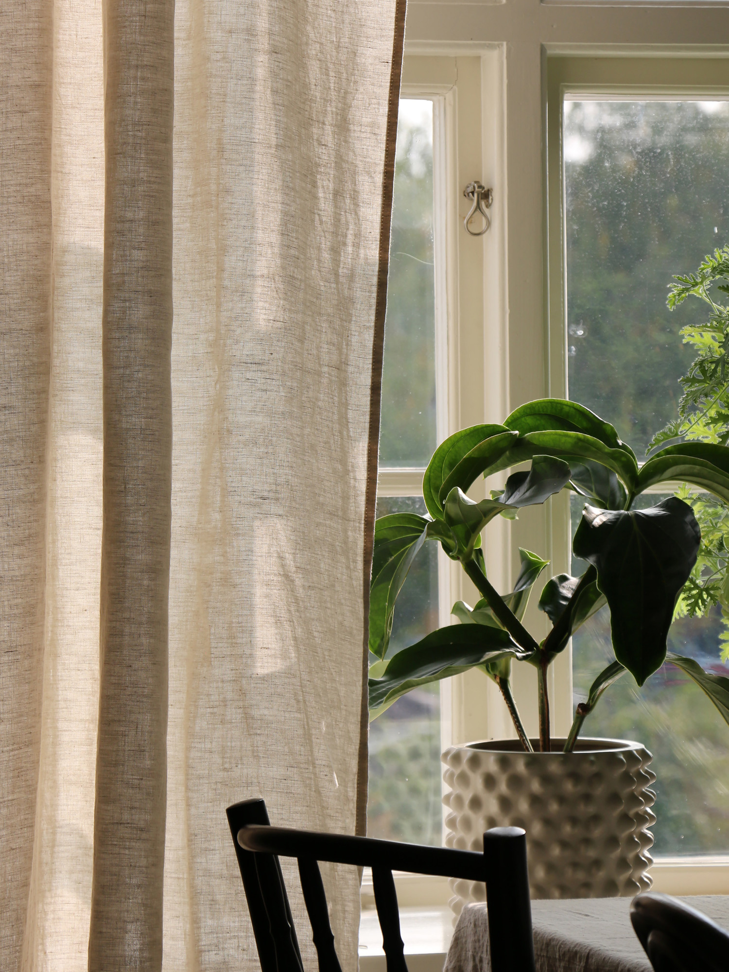 Himla Sunrise Gardinhøyde Linskjørt Havre 140x290