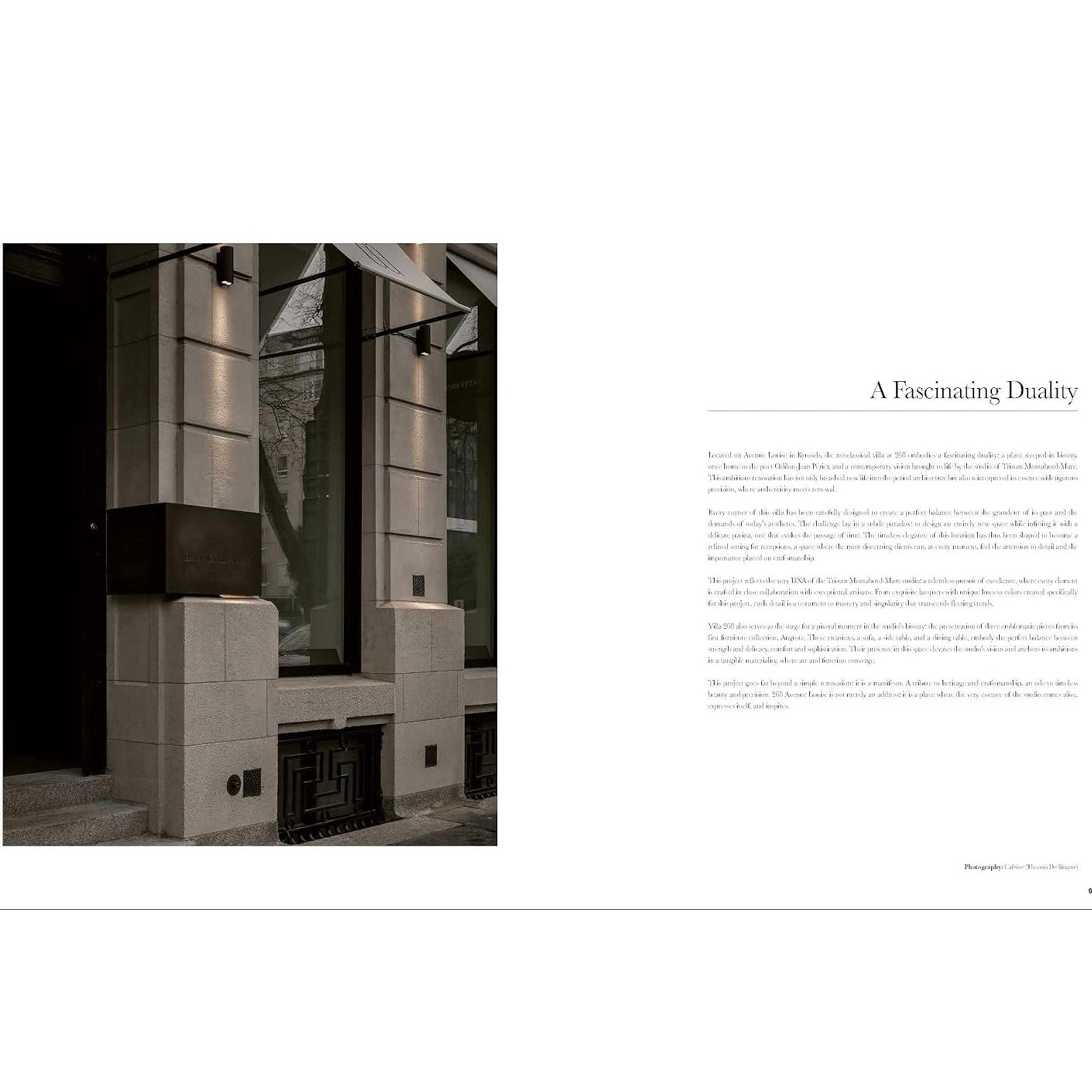 New Mags Young Visionaries A New Generation of Interior Designers Bok