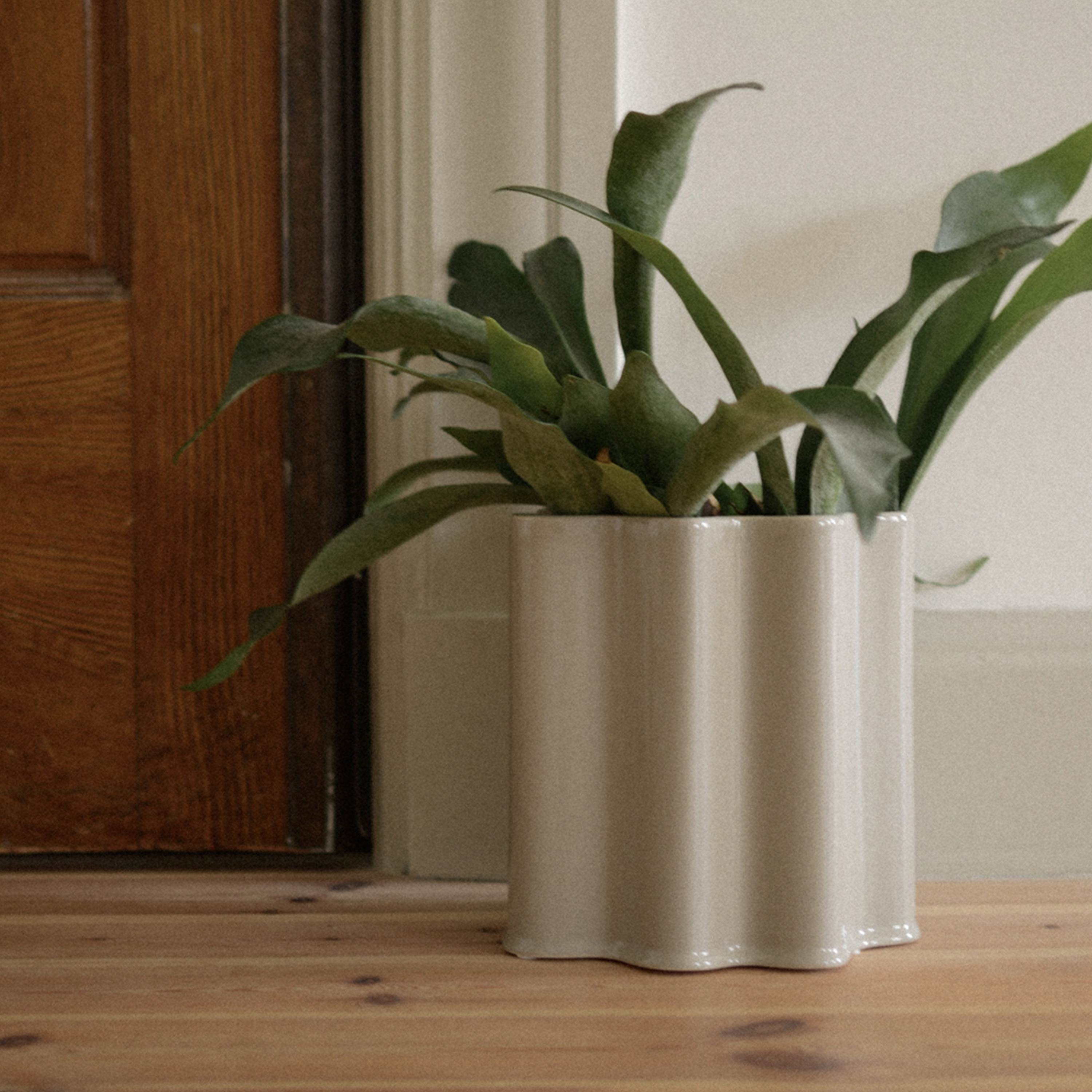 DBKD Filter Kruka Shiny Mole XL