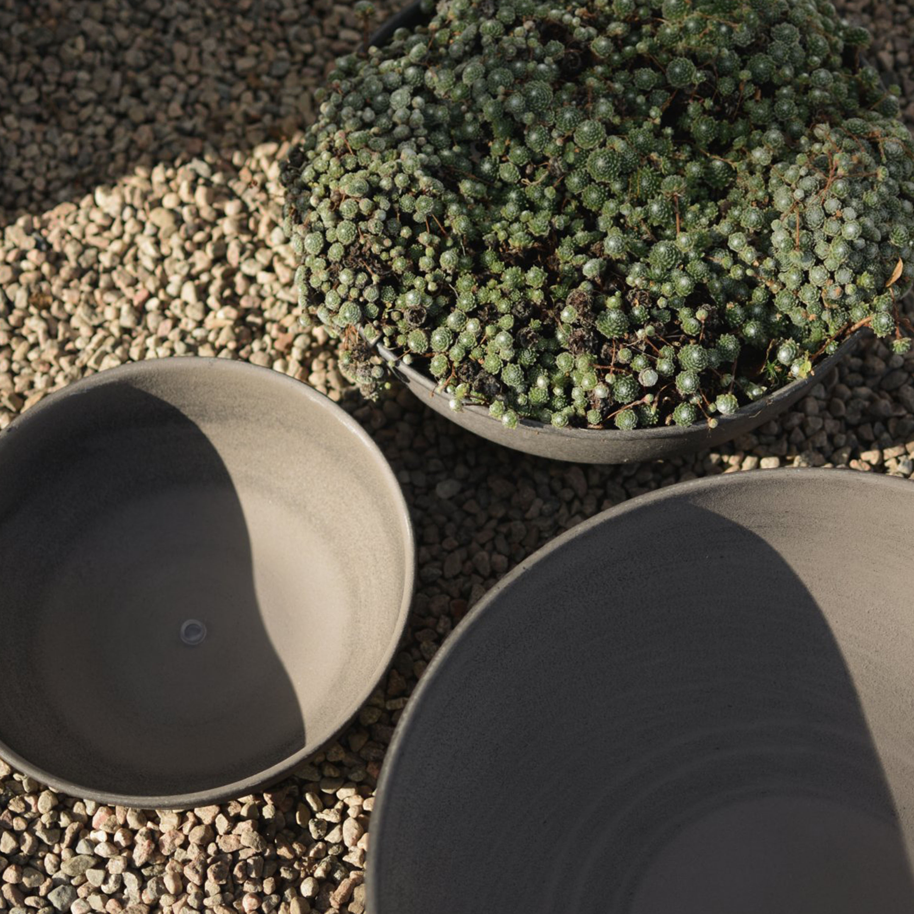 DBKD Out Bowl Brown 3-pakkaus