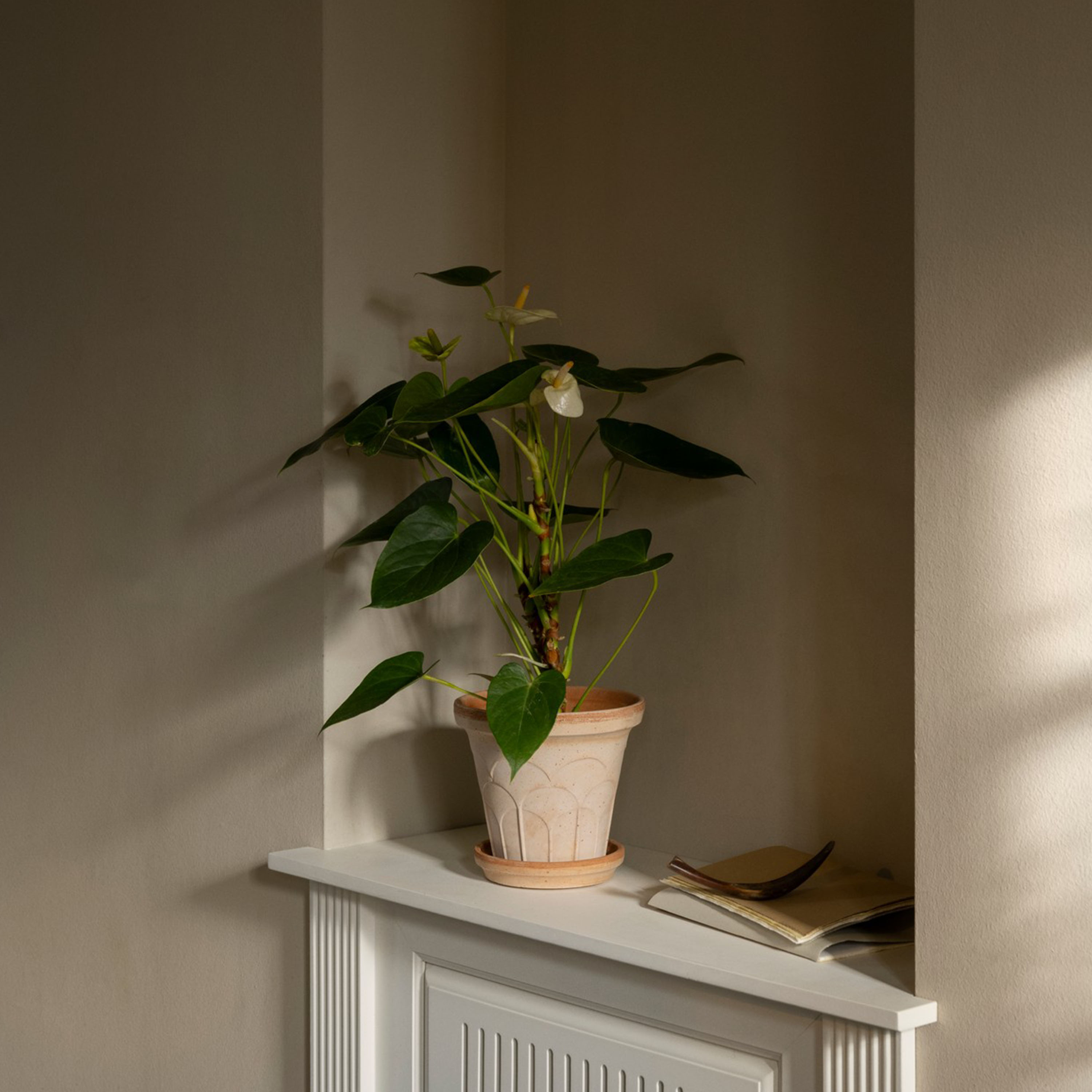 Bergs Potter Fleur Ruukku aluslautasella Raw Rosa Ø18