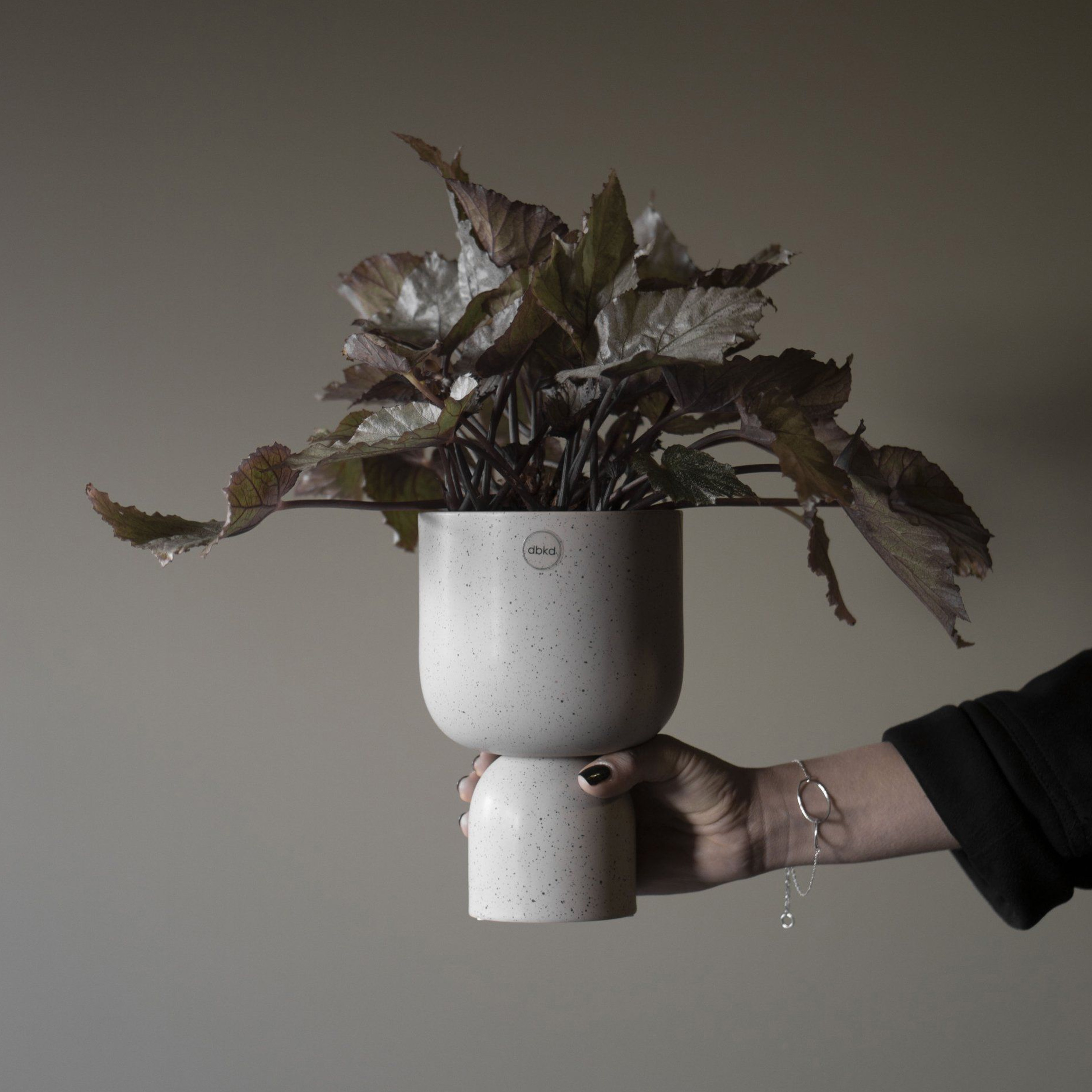 DBKD Post Kruka Mole Dot Small