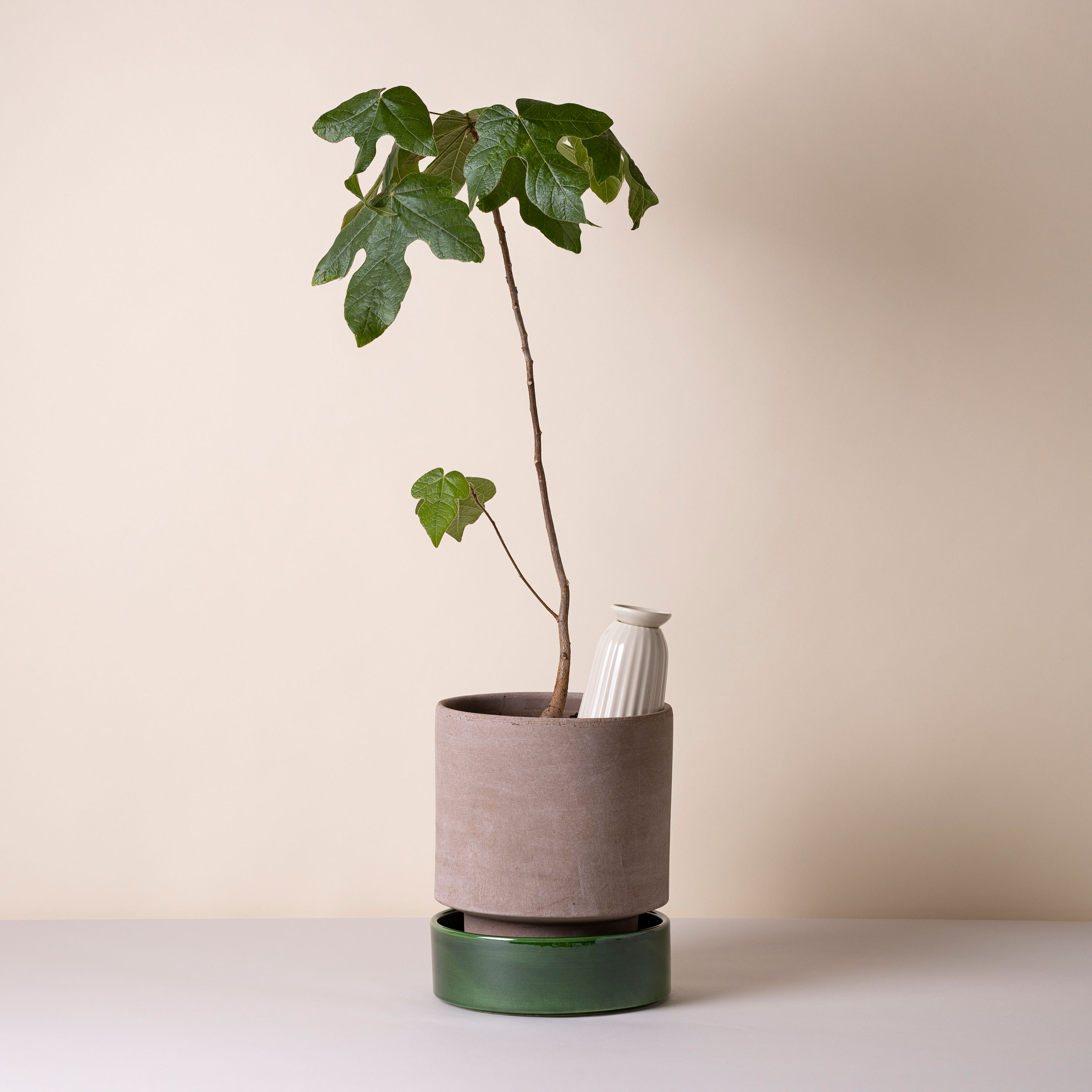 Bergs Potter Hoff Ruukku aluslautasella Raw Grey Lasitettu Emerald Green Ø8, 2-kpl