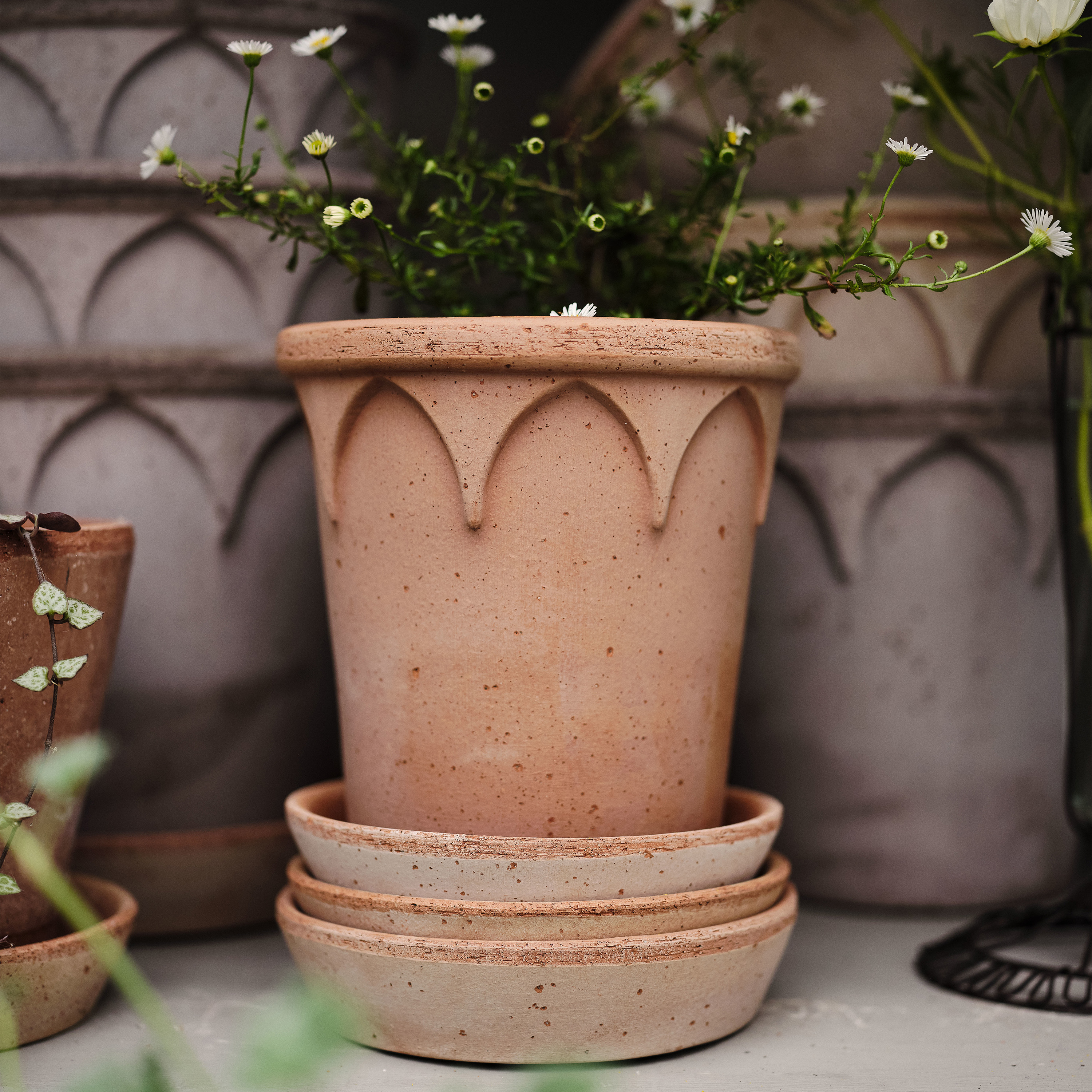 Bergs Potter Elizabeth Topf mit Untersetzer Raw Rosa Terrakotta Ø18