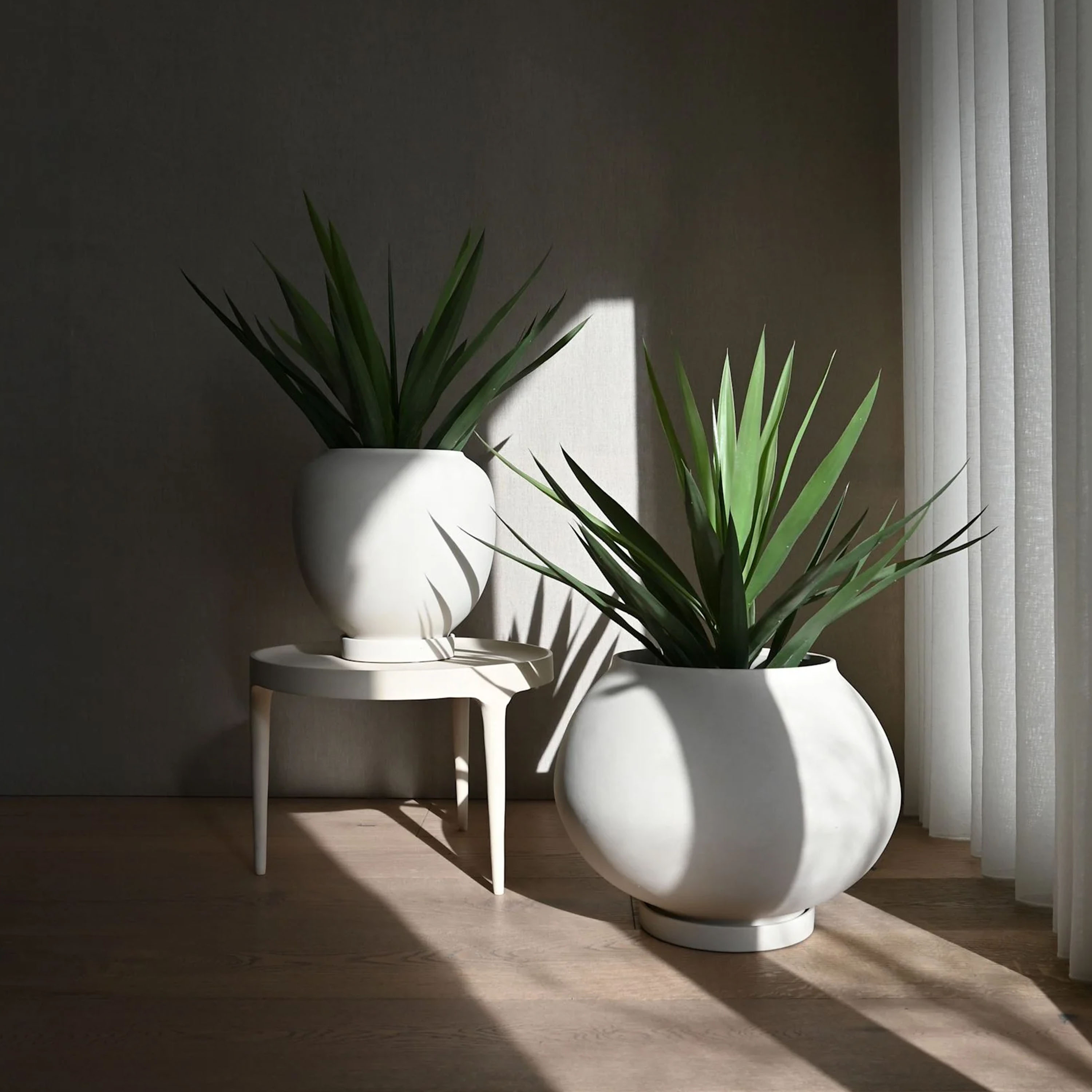 101 Copenhagen Sunao Ruukku Koivu Keskikokoinen