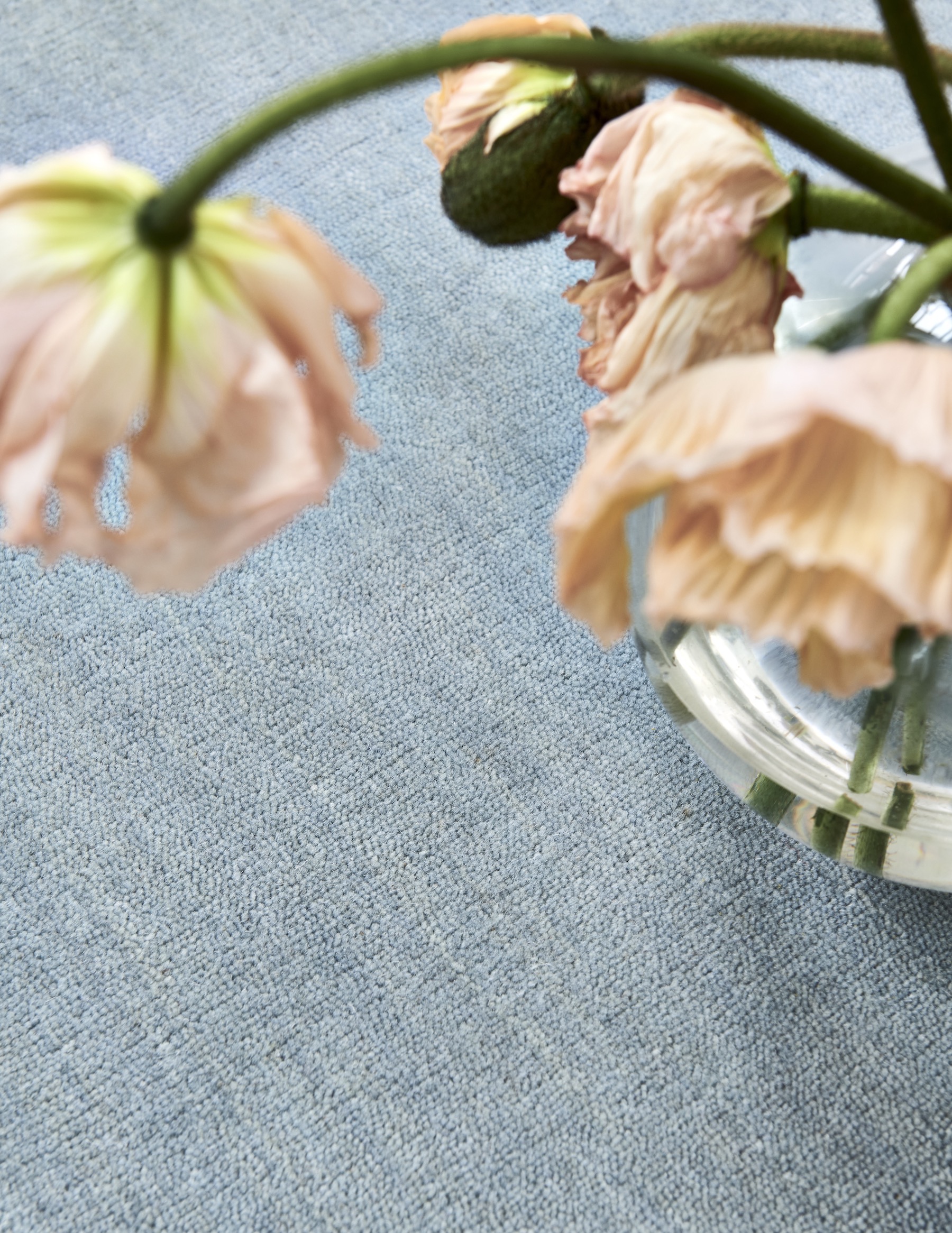 Classic Collection Solid Ullteppe Blå 250x350