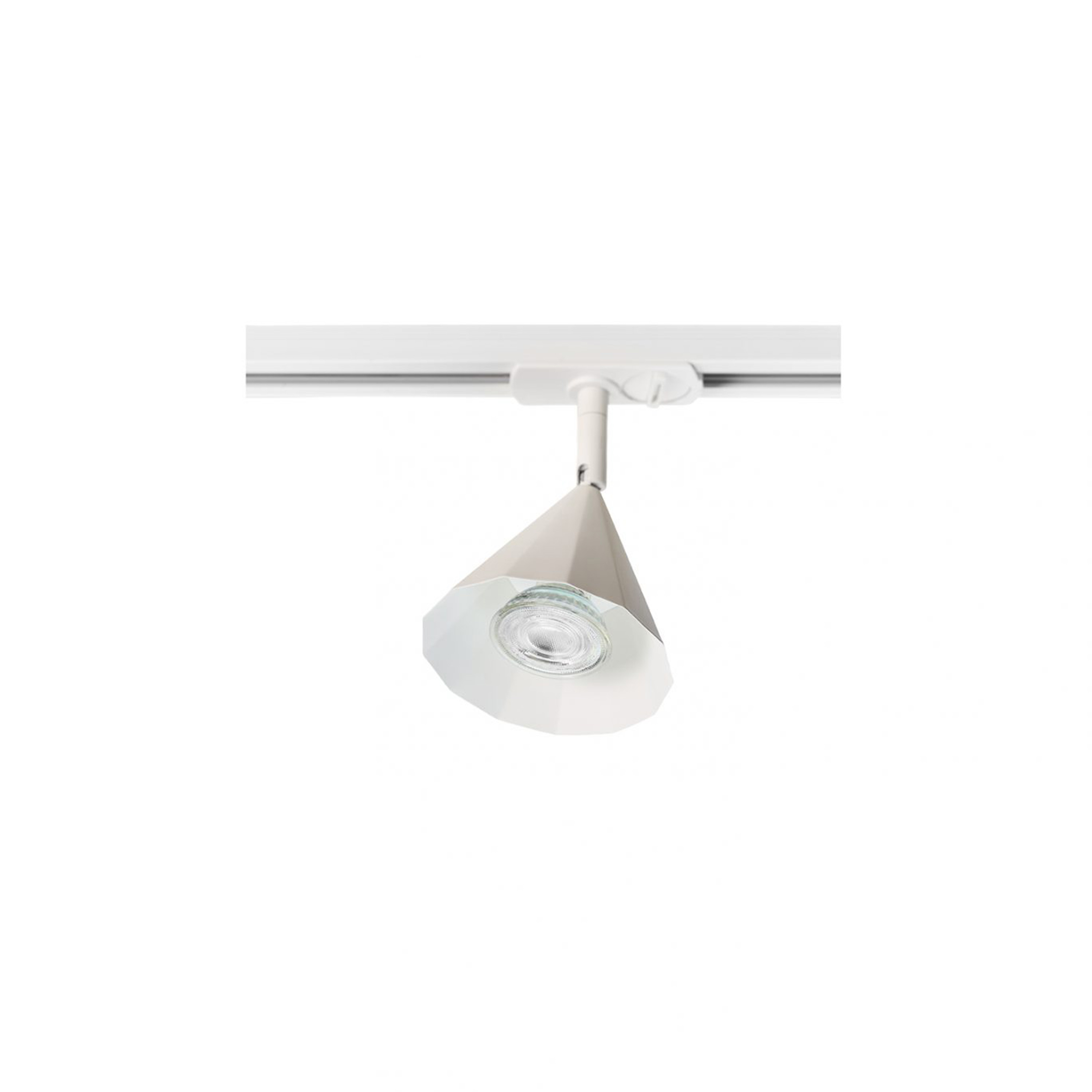 Rain 10 Spotlight Vit