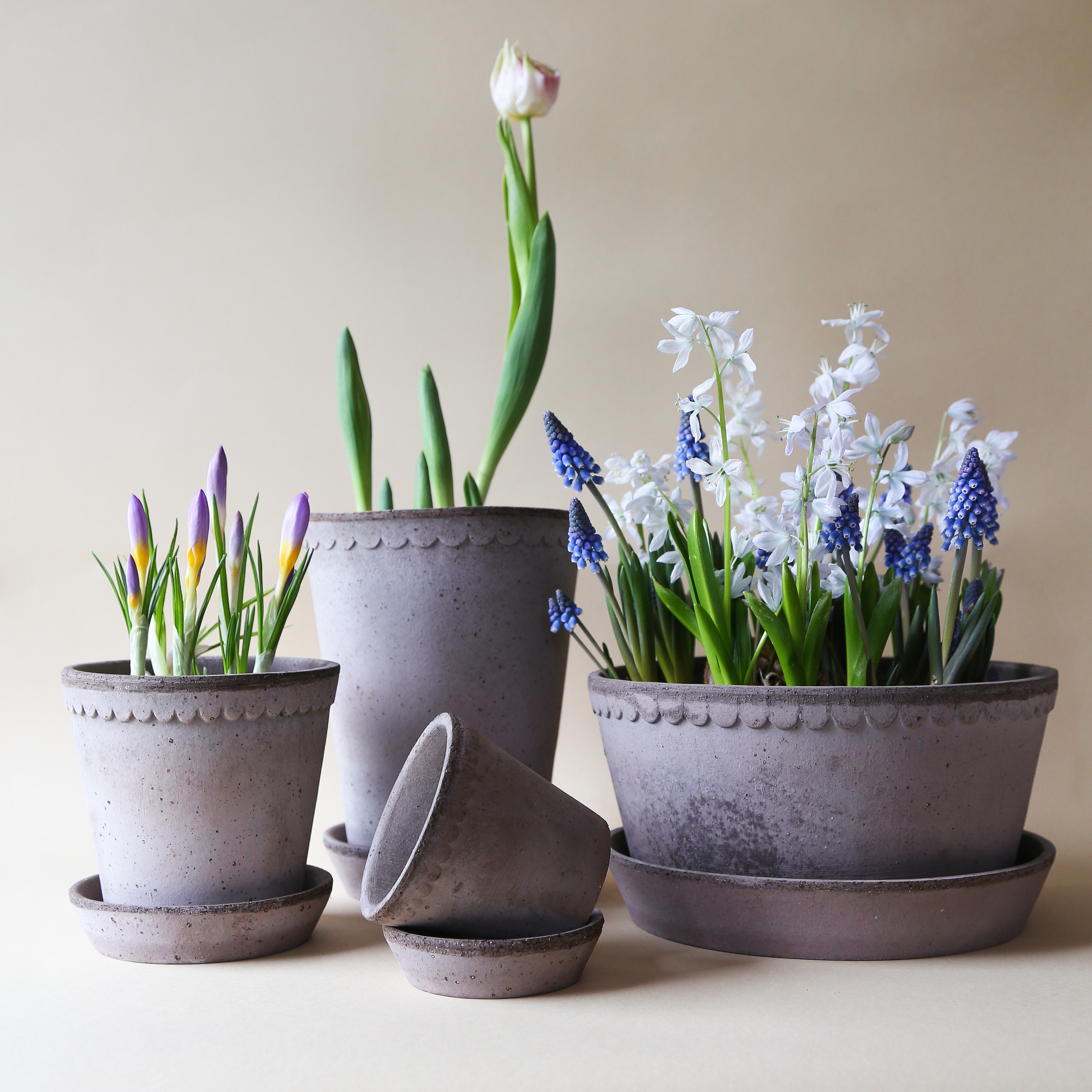 Bergs Potter Helena Topf mit Untersetzer Raw Grey Terrakotta Ø21