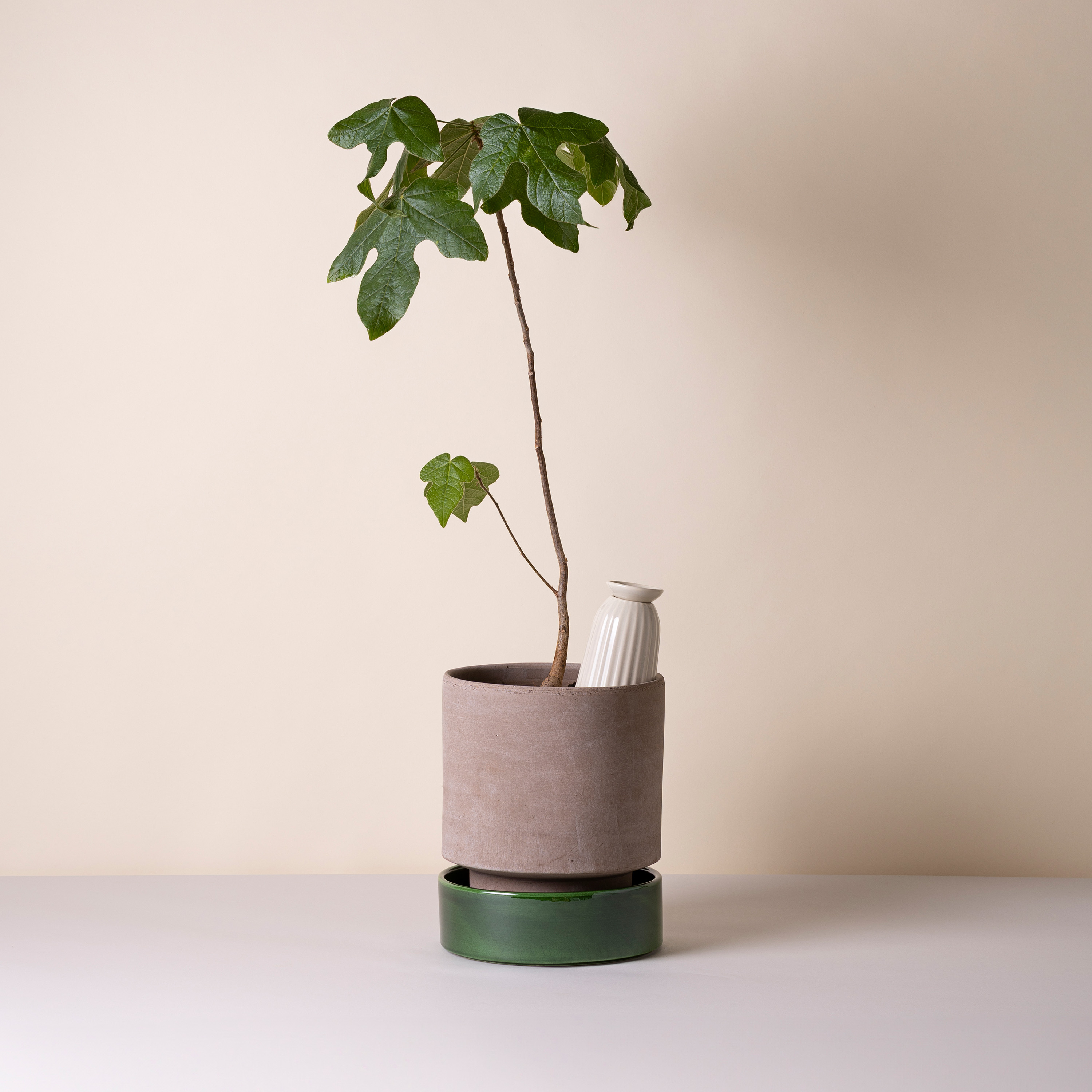 Bergs Potter Hoff Untersetzer glasiert Deep Emerald Green Ø30