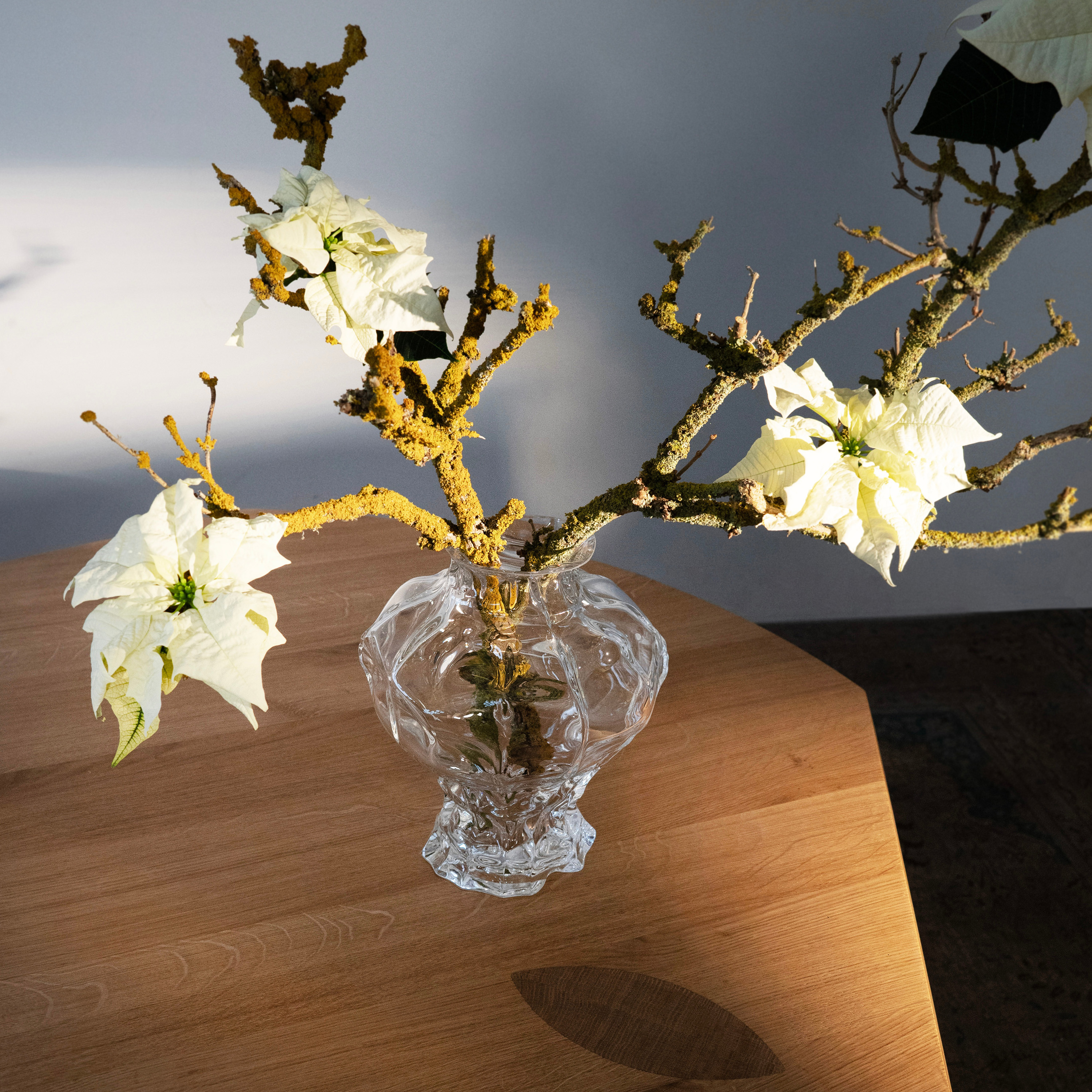 Hein Studio Ammonit Vase Clear Large