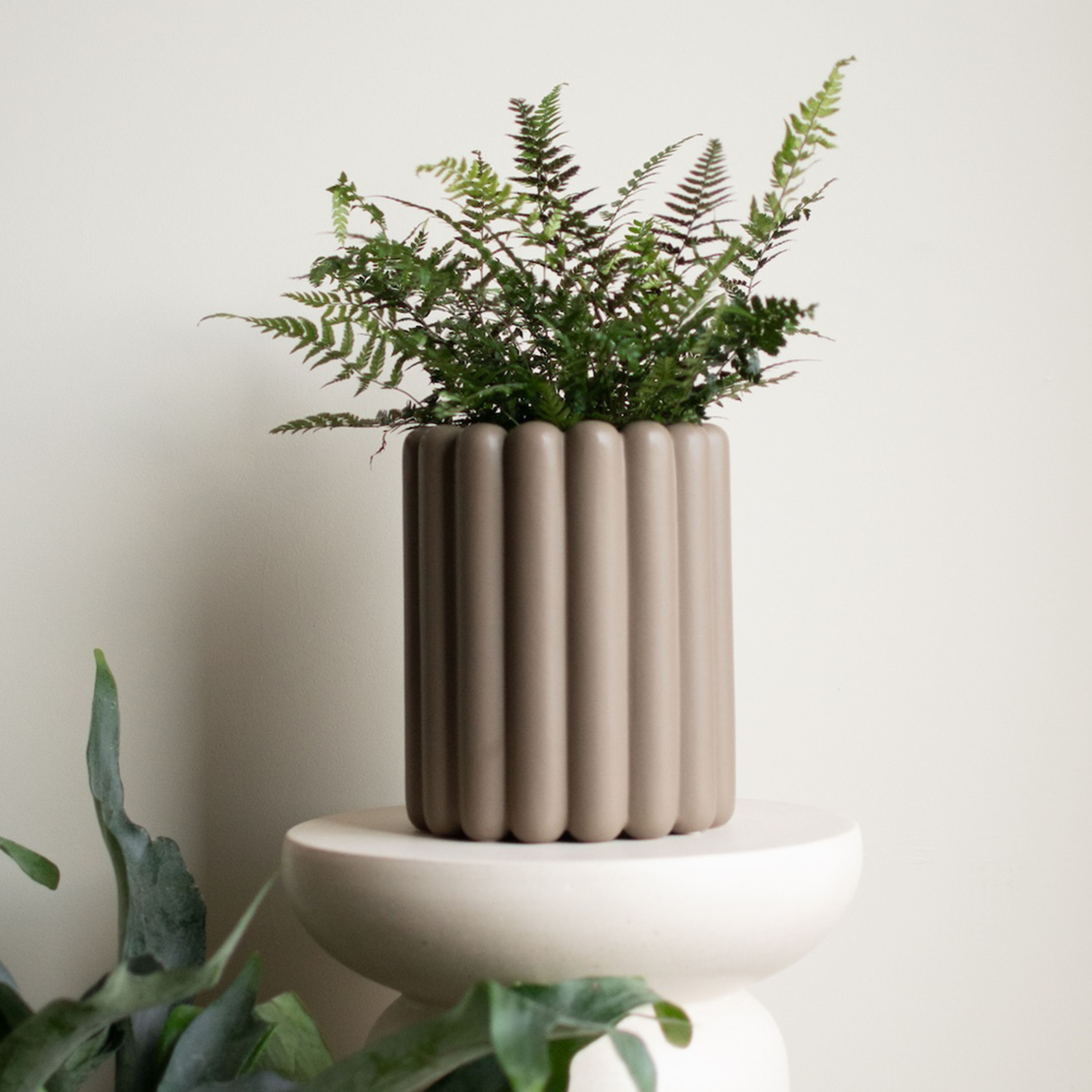 DBKD Mist Kruka Dust Large