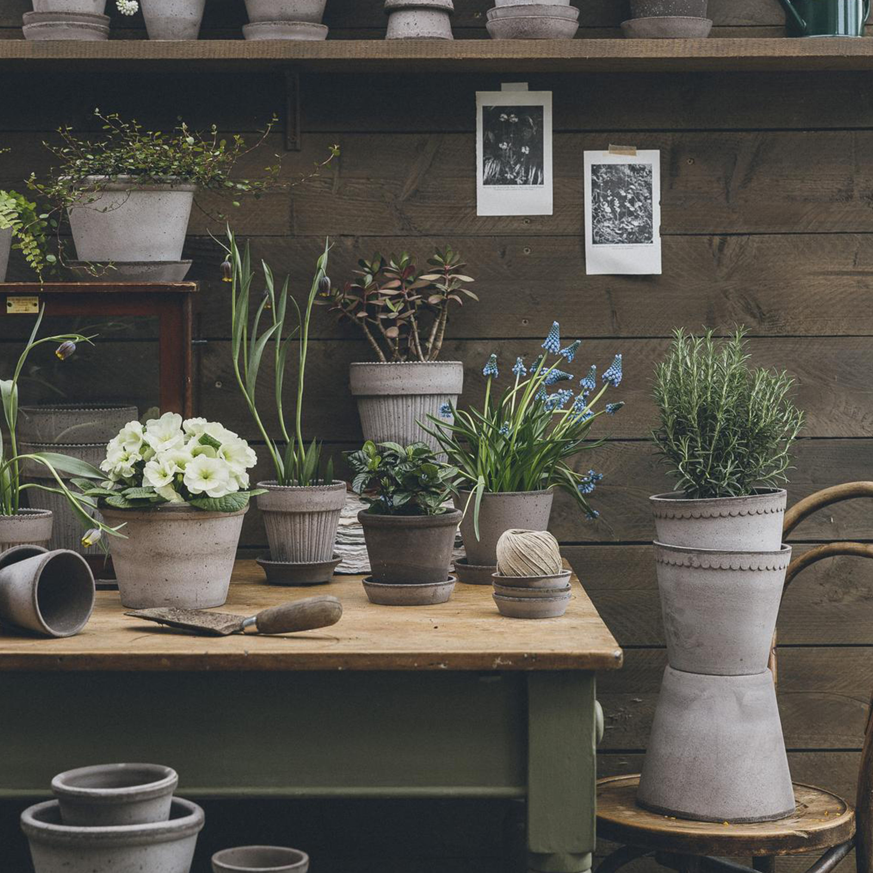 Bergs Potter Julie Kruka med fat Raw Grey Terracotta Ø45