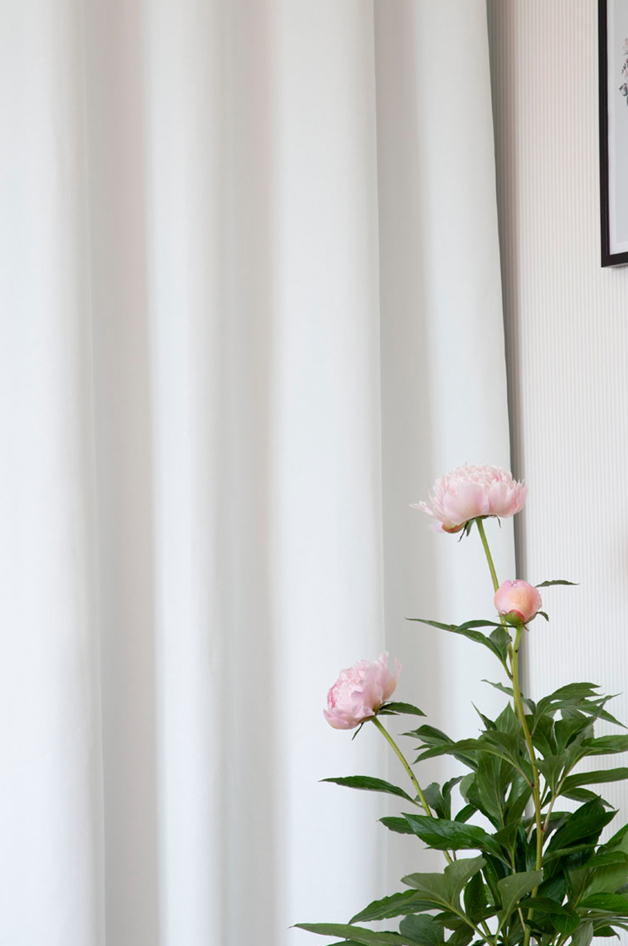 Hasta Home Good Nacht Verdunkelungsvorhang Weiß 250cm