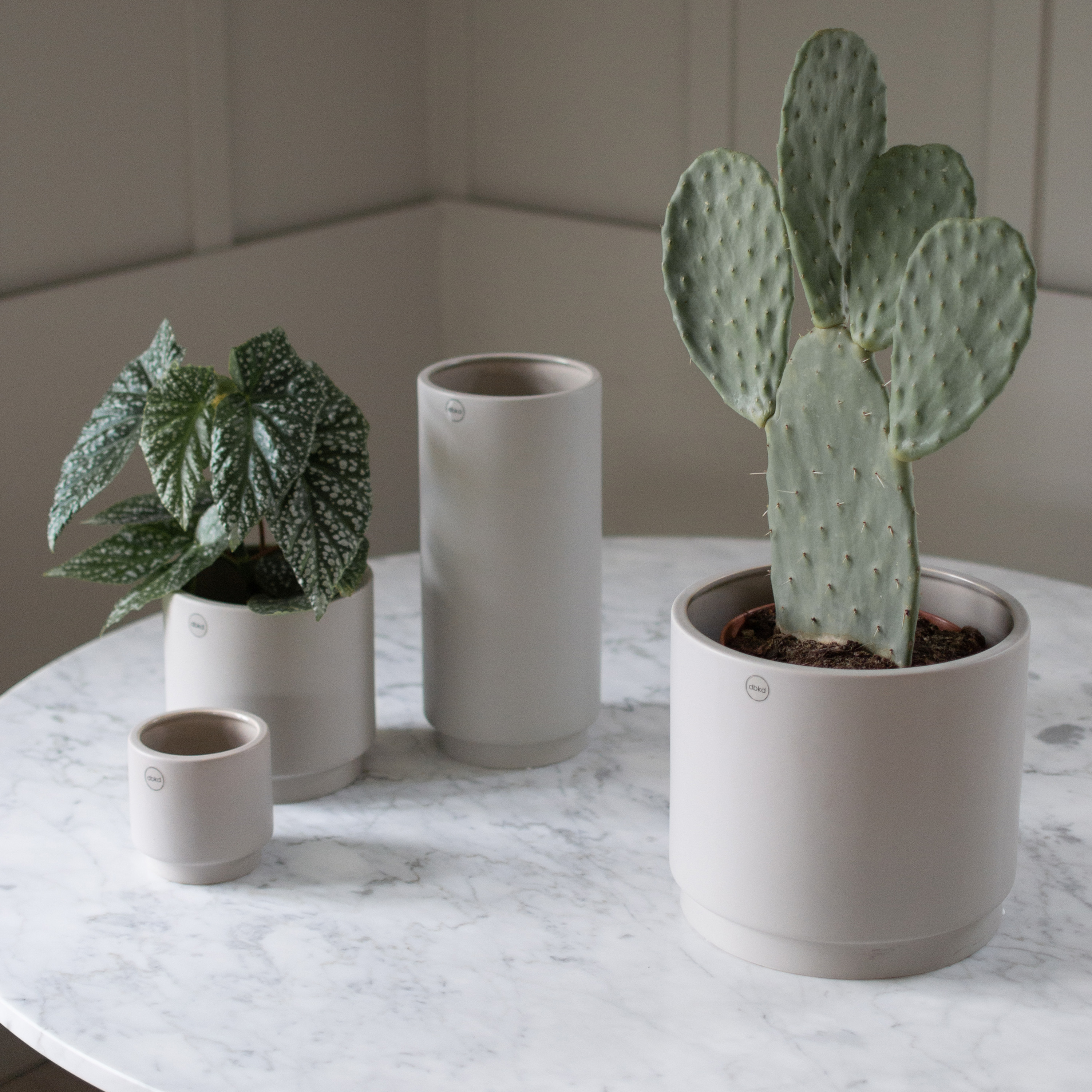 DBKD Solid Kruka Mole Large